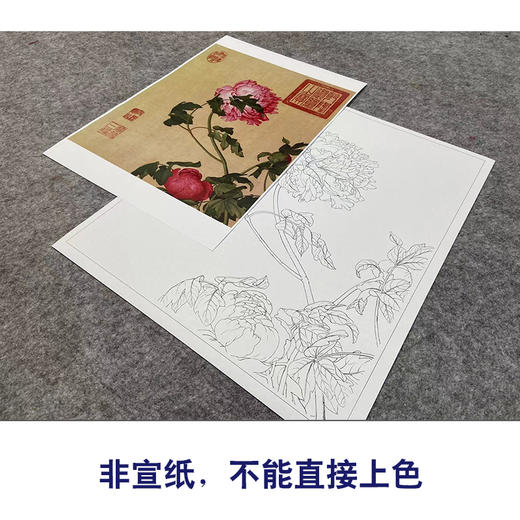 【大彩图】郎世宁工笔画白描底稿小品《仙萼长春册》牡丹临摹勾线高清打印稿LT01 商品图2