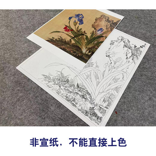 【大彩图】郎世宁工笔画白描底稿小品《仙萼长春册》石竹临摹勾线高清打印稿LT07 商品图2