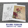 【大彩图】郎世宁工笔画白描底稿小品《仙萼长春册》鸡冠花临摹勾线花鸟线稿LT15 商品缩略图1