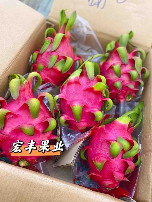 宏丰精选 越南红心火龙果 口感不错 火龙果怕热 一定及时放冰箱哦  活动价9.9元一斤 商品图6