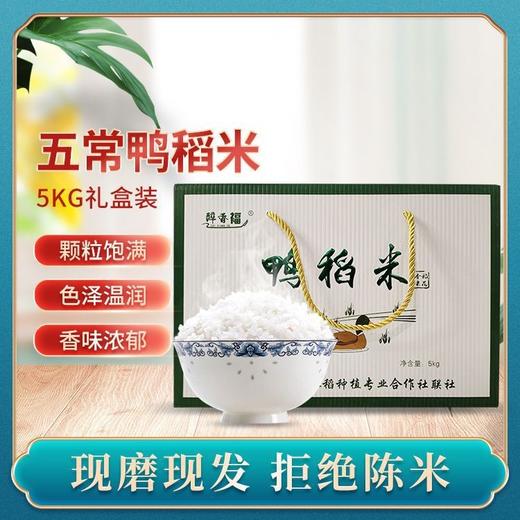 五常鸭稻香米 礼盒装5kg 商品图0