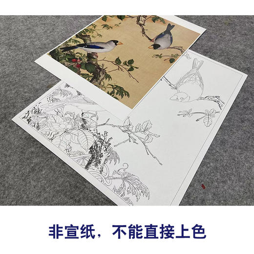 【大彩图】郎世宁工笔画白描底稿小品《仙萼长春册》樱桃临摹勾线高清打印稿LT08 商品图2