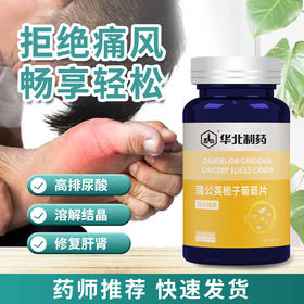【降尿酸缓痛风】华北制药蒲公英栀子菊苣片 尿酸高 降酸降脂缓解痛风压片糖果