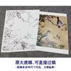 【大彩图】郎世宁工笔画白描底稿小品《仙萼长春册》樱桃临摹勾线高清打印稿LT08 商品缩略图1
