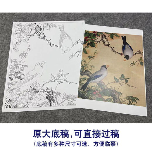 【大彩图】郎世宁工笔画白描底稿小品《仙萼长春册》樱桃临摹勾线高清打印稿LT08 商品图1