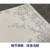 【大彩图】郎世宁工笔画白描底稿小品《仙萼长春册》翠竹牵牛花临摹勾线高清打印稿LT12 商品缩略图4