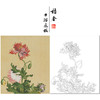 【大彩图】郎世宁工笔画白描底稿小品《仙萼长春册》罂粟临摹勾线高清打印稿LT09 商品缩略图0