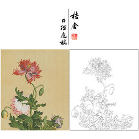 【大彩图】郎世宁工笔画白描底稿小品《仙萼长春册》罂粟临摹勾线高清打印稿LT09