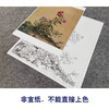 【大彩图】郎世宁工笔画白描底稿小品《仙萼长春册》虞美人与蝴蝶花临摹勾线高清打印稿LT05 商品缩略图2