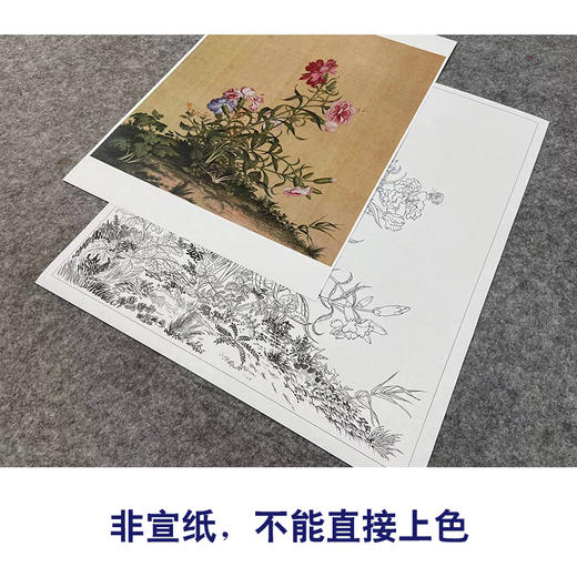 【大彩图】郎世宁工笔画白描底稿小品《仙萼长春册》虞美人与蝴蝶花临摹勾线高清打印稿LT05 商品图2