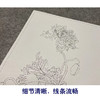 【大彩图】郎世宁工笔画白描底稿小品《仙萼长春册》罂粟临摹勾线高清打印稿LT09 商品缩略图4