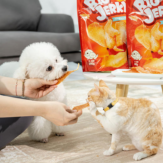 地狱厨房大杰克猫狗通用宠物风干鸡肉片大包装鸡肉干390克 商品图2