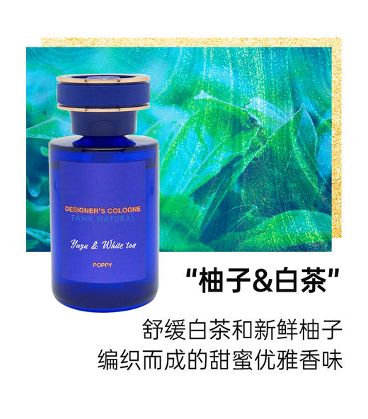 日本DIAX 车载古龙液体香氛 商品图4