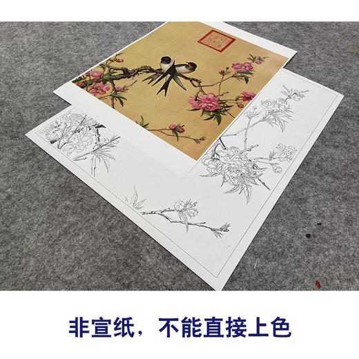 【大彩图】郎世宁工笔画白描底稿小品《仙萼长春册》桃花临摹勾线高清打印稿LT02 商品图2