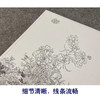 【大彩图】郎世宁工笔画白描底稿小品《仙萼长春册》虞美人与蝴蝶花临摹勾线高清打印稿LT05 商品缩略图4