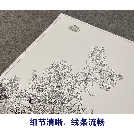 【大彩图】郎世宁工笔画白描底稿小品《仙萼长春册》虞美人与蝴蝶花临摹勾线高清打印稿LT05 商品图4