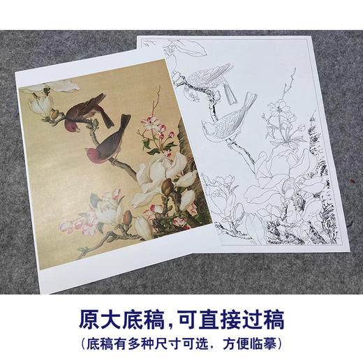 【大彩图】郎世宁工笔画白描底稿小品《仙萼长春册》海棠与玉兰临摹勾线高清打印稿LT04 商品图1