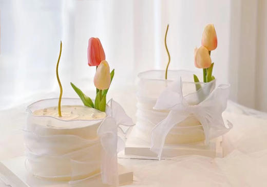 月光之恋 商品图0