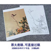 【大彩图】郎世宁工笔画白描底稿小品《仙萼长春册》黄刺蘼鱼儿牡丹临摹勾线高清打印稿LT06 商品缩略图1