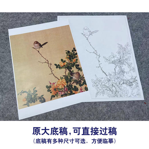 【大彩图】郎世宁工笔画白描底稿小品《仙萼长春册》黄刺蘼鱼儿牡丹临摹勾线高清打印稿LT06 商品图1