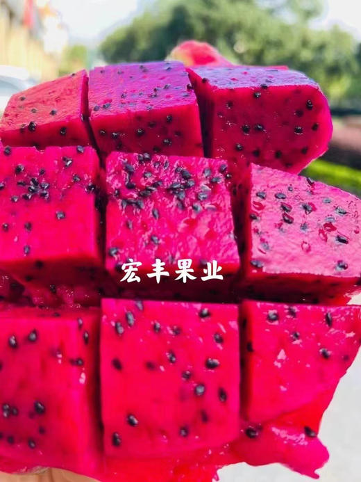 宏丰精选 越南红心火龙果 口感不错 火龙果怕热 一定及时放冰箱哦  活动价9.9元一斤 商品图11
