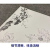 【大彩图】郎世宁工笔画白描底稿《仙萼长春册》芍药临摹勾线高清打印稿LT03 商品缩略图4