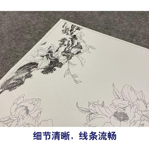 【大彩图】郎世宁工笔画白描底稿《仙萼长春册》芍药临摹勾线高清打印稿LT03 商品图4
