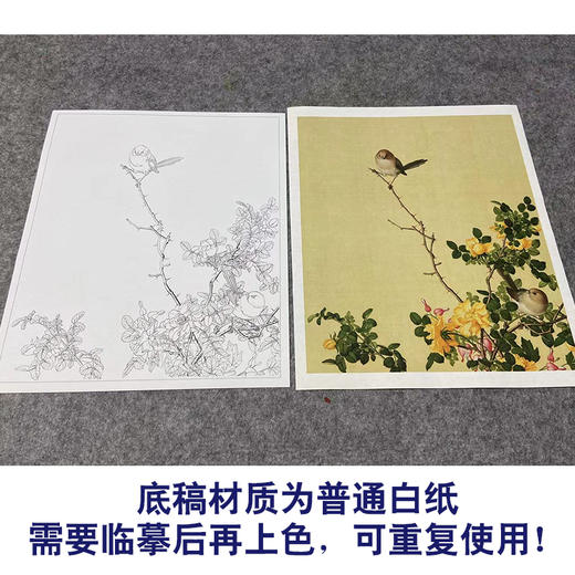 【大彩图】郎世宁工笔画白描底稿小品《仙萼长春册》黄刺蘼鱼儿牡丹临摹勾线高清打印稿LT06 商品图3