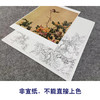【大彩图】郎世宁工笔画白描底稿小品《仙萼长春册》黄刺蘼鱼儿牡丹临摹勾线高清打印稿LT06 商品缩略图2