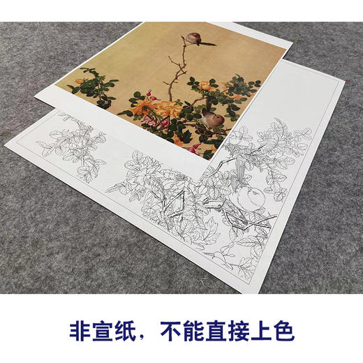【大彩图】郎世宁工笔画白描底稿小品《仙萼长春册》黄刺蘼鱼儿牡丹临摹勾线高清打印稿LT06 商品图2