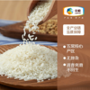 中粮初萃 特别栽培五常稻花香大米5kg（仅限桂林市区赠送高油酸花生油1.8升1桶） 商品缩略图1