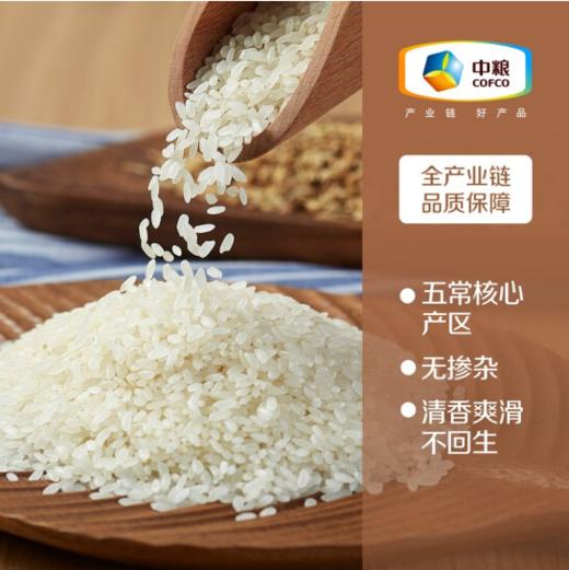 中粮初萃 特别栽培五常稻花香大米5kg（仅限桂林市区赠送高油酸花生油1.8升1桶） 商品图1