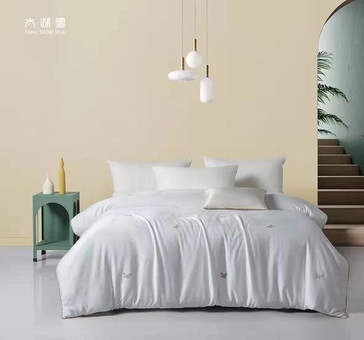 太湖雪蝶语江南3斤蚕丝被 商品图0