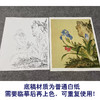 【大彩图】郎世宁工笔画白描底稿小品《仙萼长春册》石竹临摹勾线高清打印稿LT07 商品缩略图3