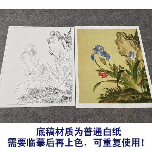 【大彩图】郎世宁工笔画白描底稿小品《仙萼长春册》石竹临摹勾线高清打印稿LT07 商品图3