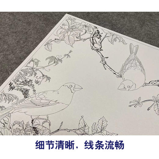 【大彩图】郎世宁工笔画白描底稿小品《仙萼长春册》樱桃临摹勾线高清打印稿LT08 商品图4