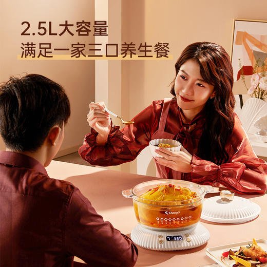 长帝养生锅电炖锅炖盅隔水炖家用煮粥神器陶瓷煲汤锅燕窝专用炖盅 商品图2