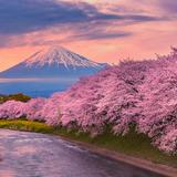 【北京领区】日本留学签证，一手送签，出签率高，出签速度快 商品图2