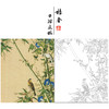 【大彩图】郎世宁工笔画白描底稿小品《仙萼长春册》翠竹牵牛花临摹勾线高清打印稿LT12 商品缩略图0