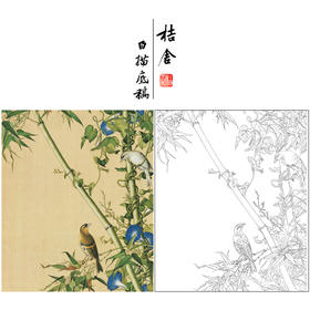 【大彩图】郎世宁工笔画白描底稿小品《仙萼长春册》翠竹牵牛花临摹勾线高清打印稿LT12