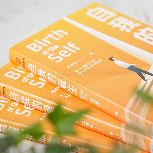 自我的诞生 武志红 著 知名心理咨询师武志红转向“自我”研究的里程碑式作品 心灵疏导 心理百科 商品图1