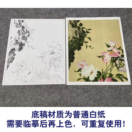 【大彩图】郎世宁工笔画白描底稿《仙萼长春册》芍药临摹勾线高清打印稿LT03 商品图3