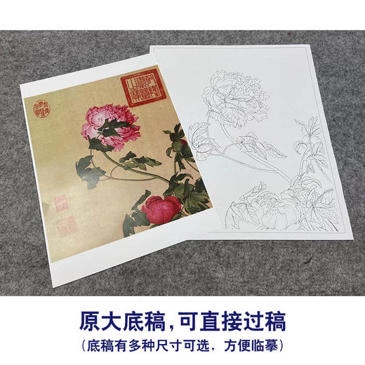 【大彩图】郎世宁工笔画白描底稿小品《仙萼长春册》牡丹临摹勾线高清打印稿LT01 商品图1