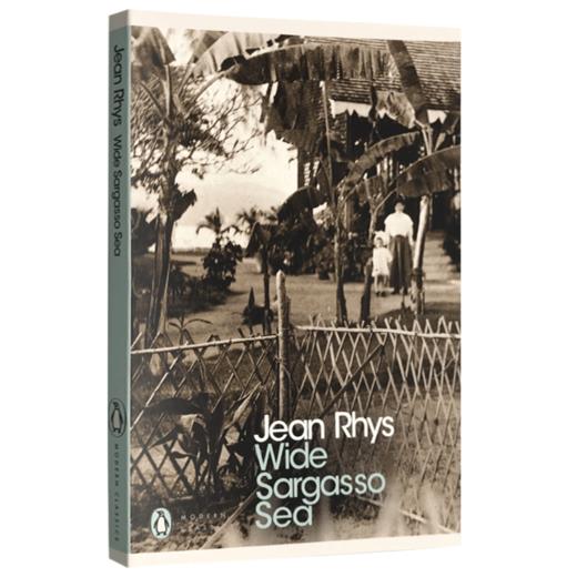 藻海无边 英文原版小说 Wide Sargasso Sea 茫茫藻海 英文版 简爱前传 Jean Rhys 正版进书籍 商品图2