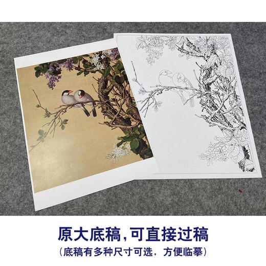 【大彩图】郎世宁工笔画白描底稿小品《仙萼长春册》紫白丁香临摹勾线高清打印稿LT10 商品图1