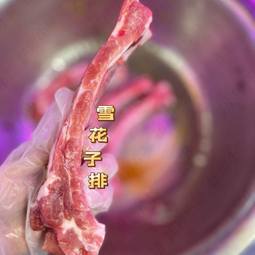 新品【胡家小猪】椒麻腊排果木熏烤308克 商品图5