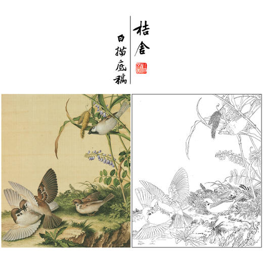 【大彩图】郎世宁工笔画白描底稿小品《仙萼长春册》豆花临摹勾线高清打印稿LT14 商品图0