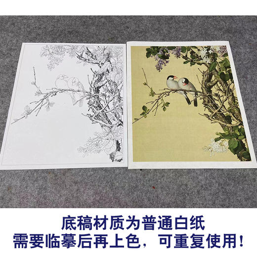【大彩图】郎世宁工笔画白描底稿小品《仙萼长春册》紫白丁香临摹勾线高清打印稿LT10 商品图3