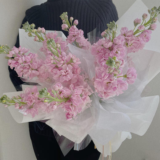 温柔芋泥  紫罗兰· 花束 商品图1