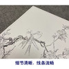 【大彩图】郎世宁工笔画白描底稿小品《仙萼长春册》桃花临摹勾线高清打印稿LT02 商品缩略图4
